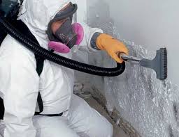 Best Biohazard Mold Removal  in Cleveland, TX